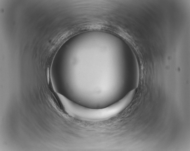 X0000054470013200508011513