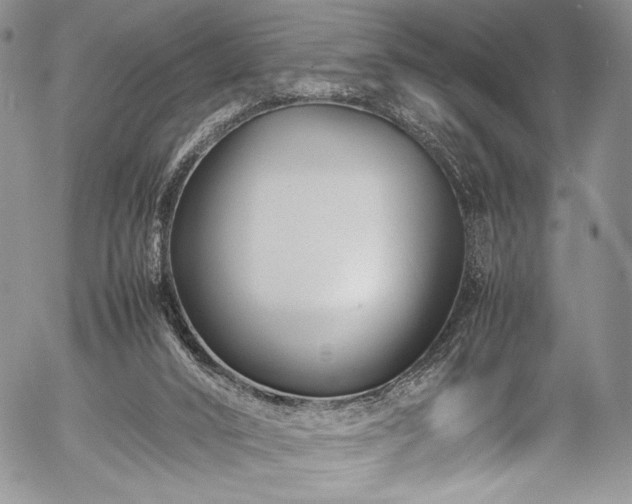 X0000054470016200508011513