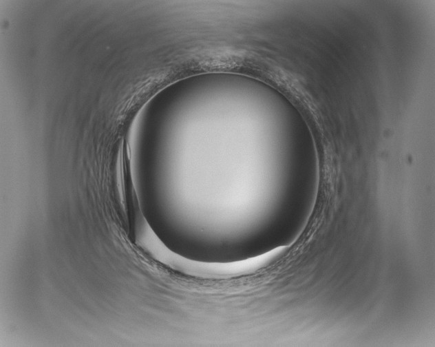 X0000054470017200508011513
