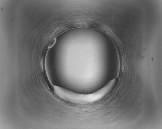 X0000054470021200508011513