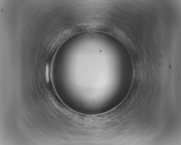 X0000054470022200508011513