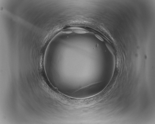 X0000054470023200508011513