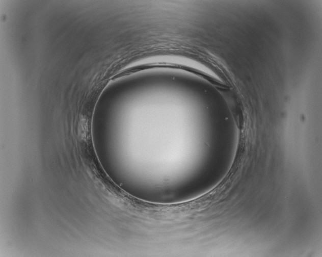 X0000054470025200508011513