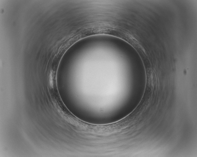 X0000054470026200508011513