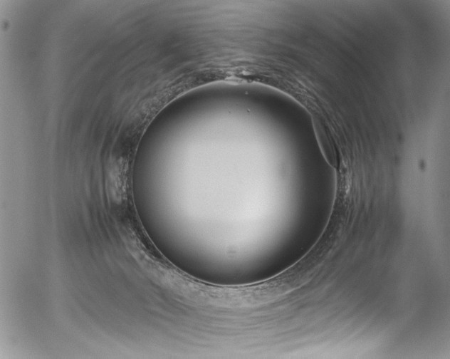 X0000054470030200508011513