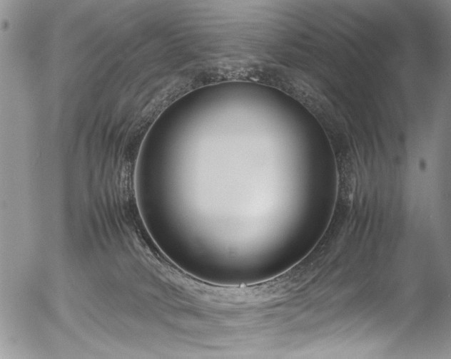 X0000054470034200508011513