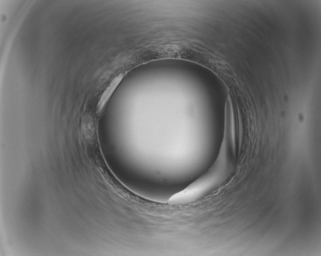 X0000054470037200508011513