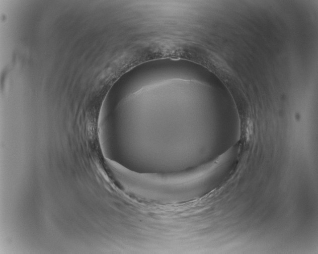 X0000054470039200508011513