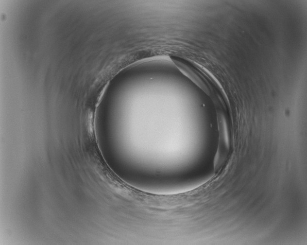 X0000054470041200508011513