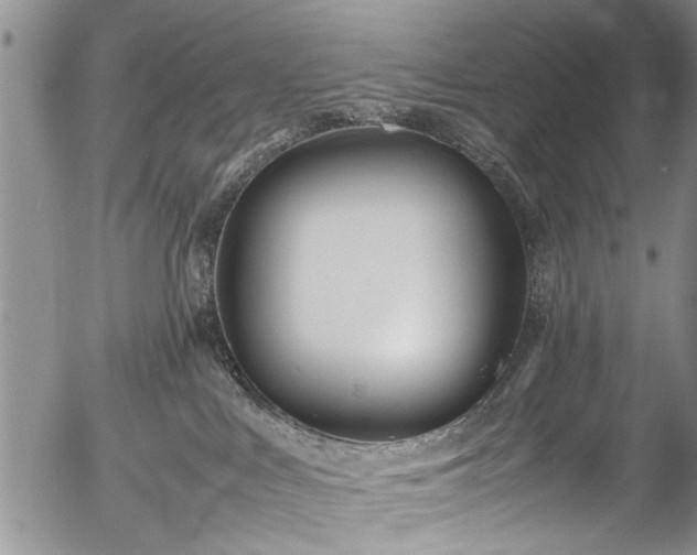 X0000054470043200508011513