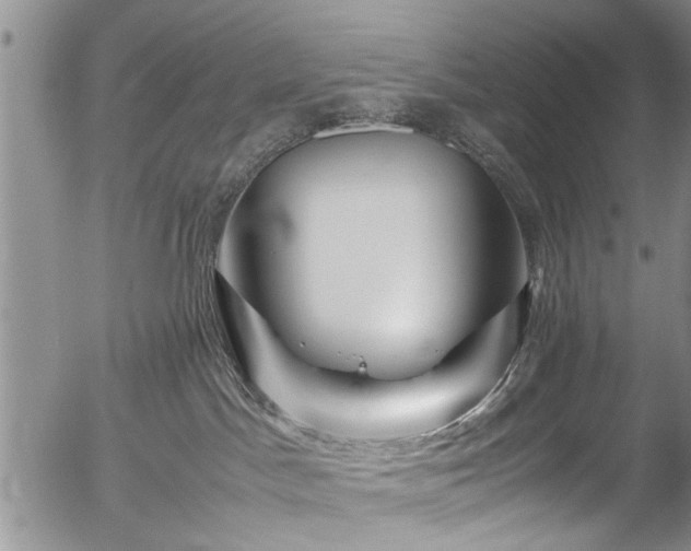X0000054470045200508011513