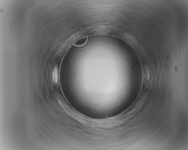 X0000054470046200508011513