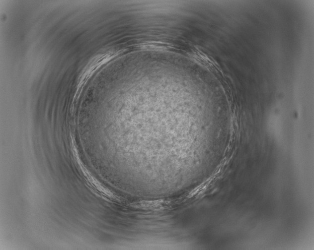 X0000054470049200508011512