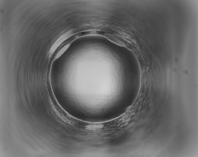 X0000054470051200508011512