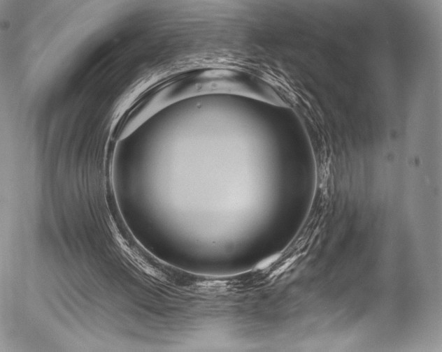 X0000054470052200508011512
