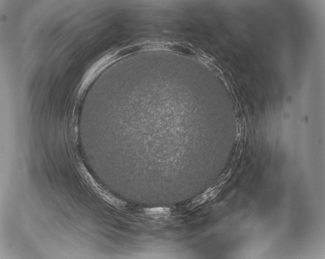 X0000054470053200508011512