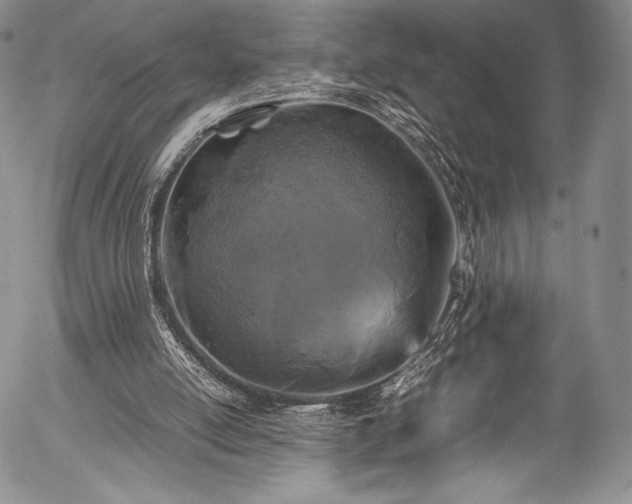 X0000054470054200508011512