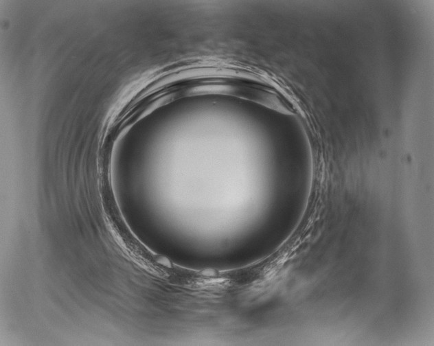 X0000054470055200508011512
