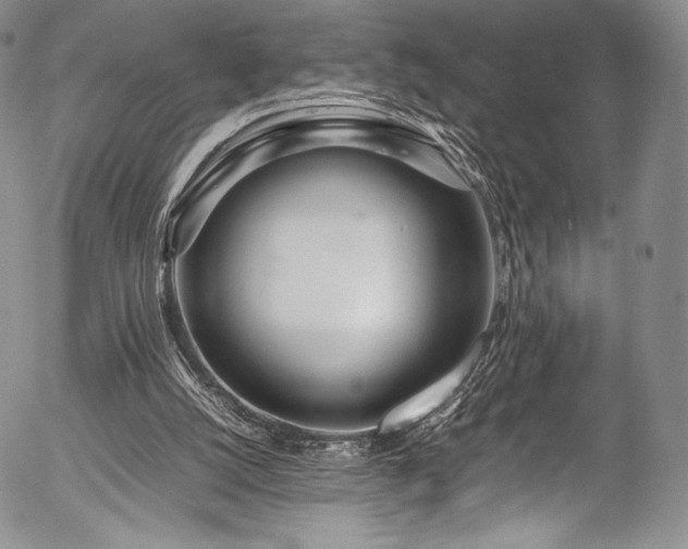 X0000054470056200508011512
