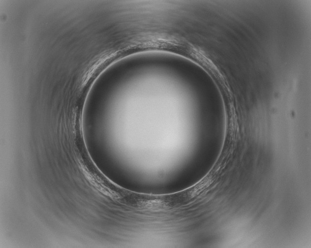 X0000054470058200508011512