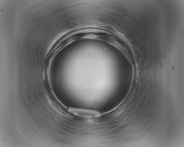 X0000054470060200508011512