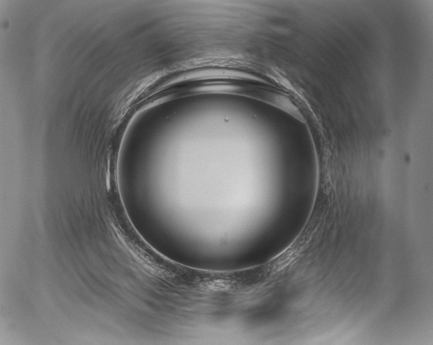 X0000054470062200508011512