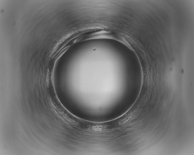 X0000054470064200508011512