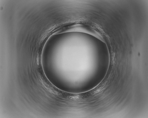 X0000054470068200508011512