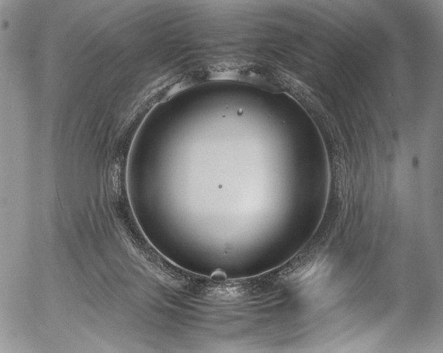 X0000054470071200508011512