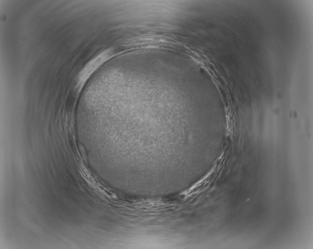 X0000054470099200508011512