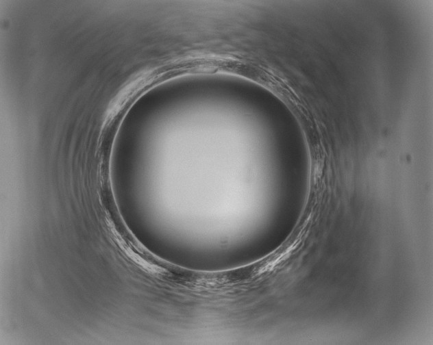 X0000054470101200508011512