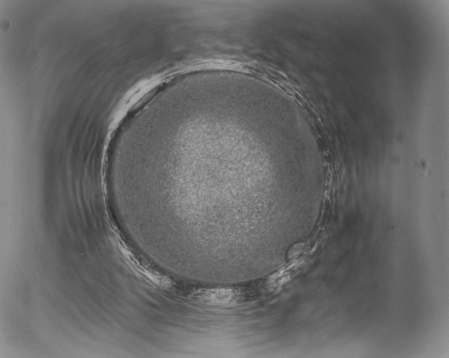 X0000054470104200508011512