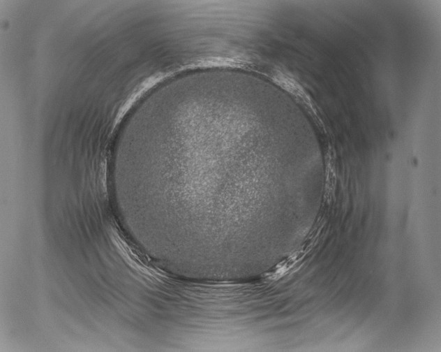 X0000054470108200508011512