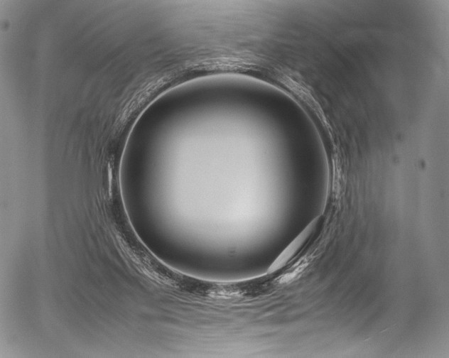 X0000054470109200508011511