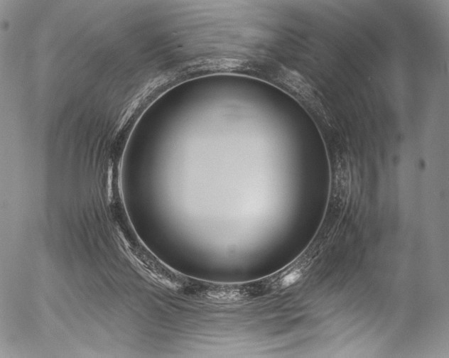 X0000054470110200508011511