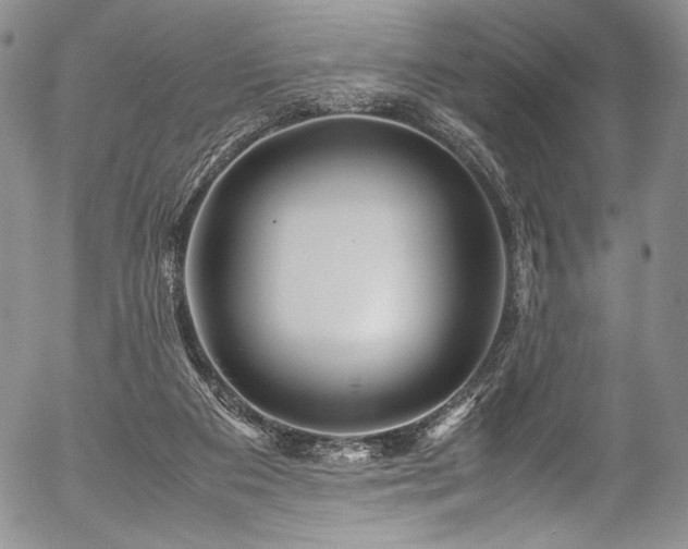 X0000054470113200508011511