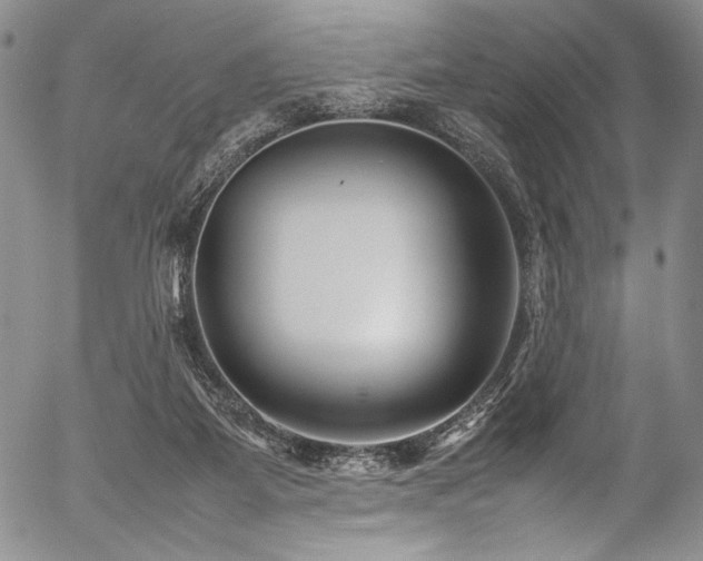 X0000054470115200508011511