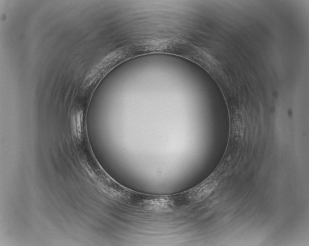 X0000054470118200508011511