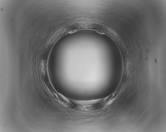 X0000054470121200508011511