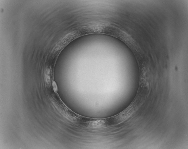 X0000054470122200508011511