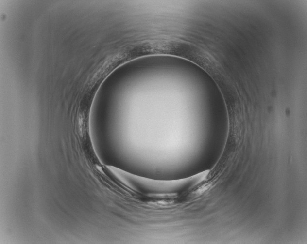 X0000054470123200508011511