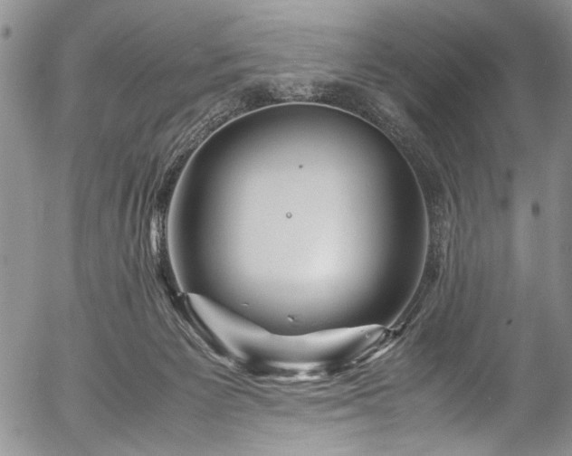 X0000054470125200508011511