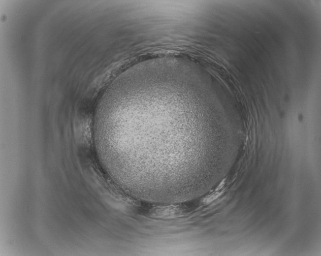 X0000054470127200508011511