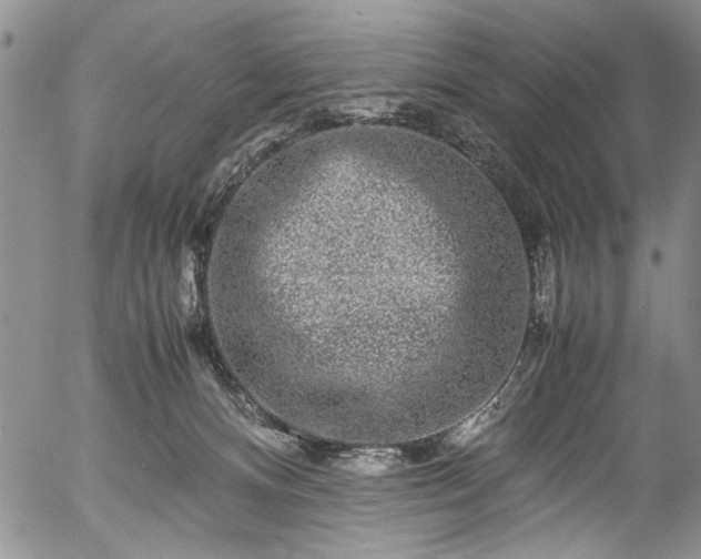X0000054470128200508011511
