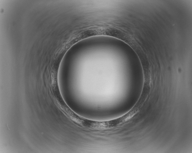 X0000054470131200508011511