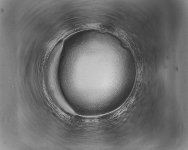 X0000054470145200508011510