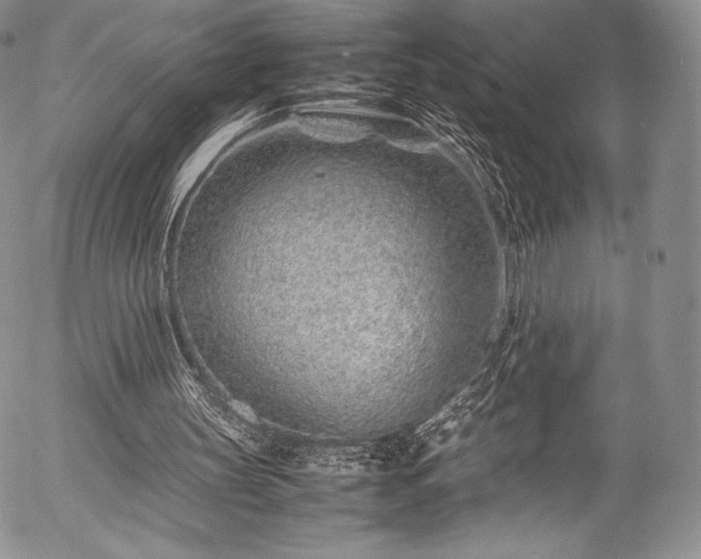 X0000054470147200508011510