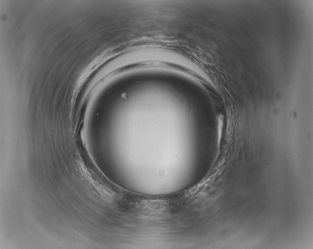 X0000054470150200508011510