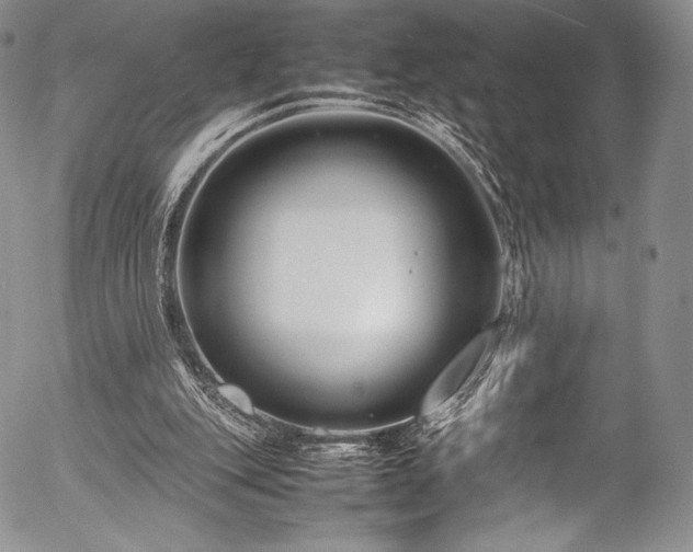X0000054470151200508011510