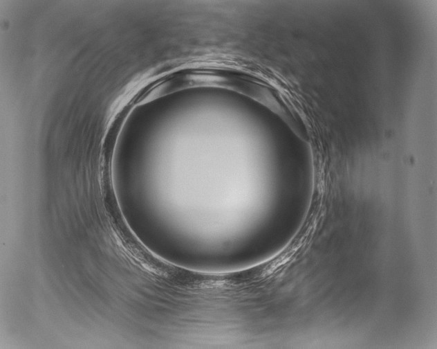 X0000054470152200508011510